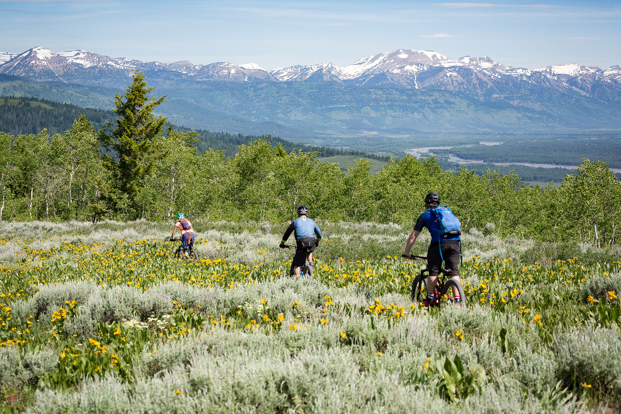 Summer Biking Adventure