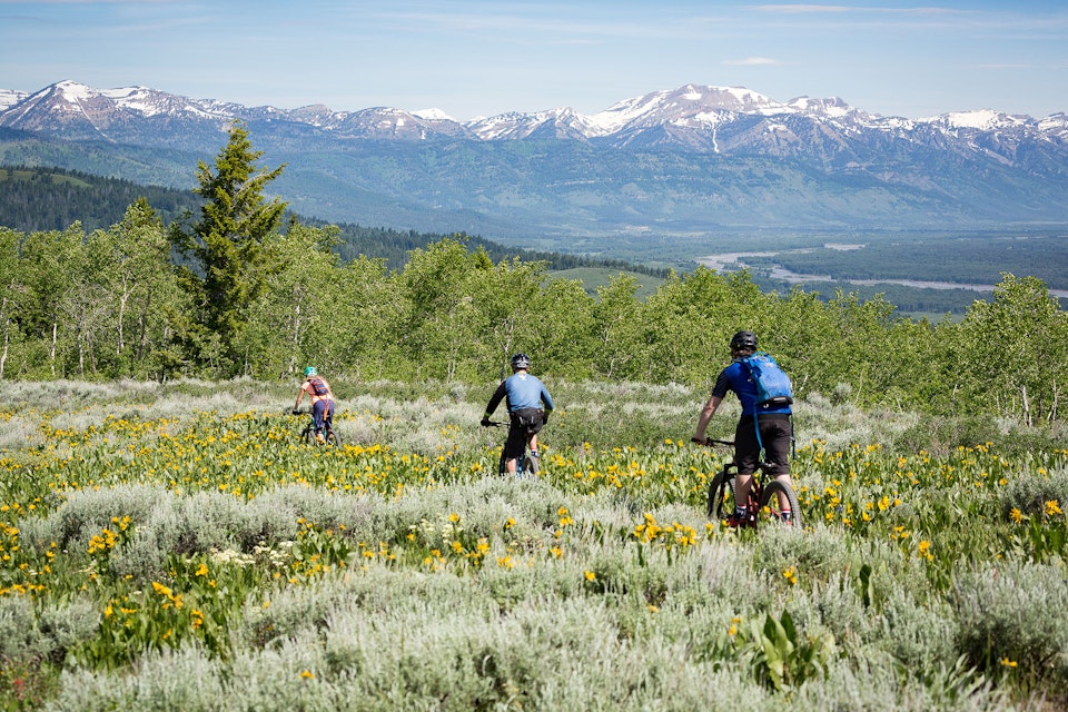 Summer Biking Adventure