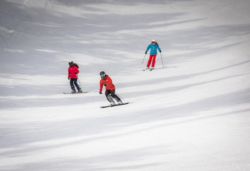 Private Lesson Skiing