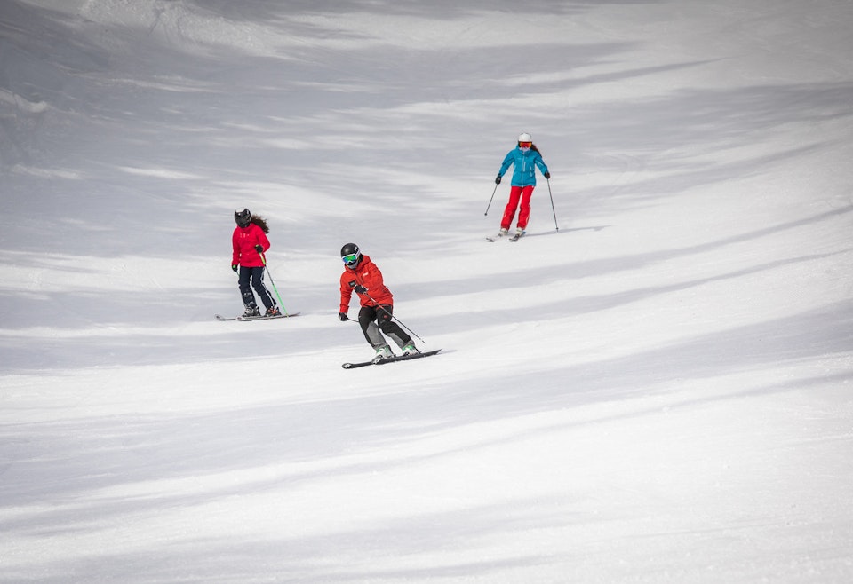 Private Lesson Skiing