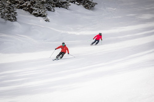 Novice skiing