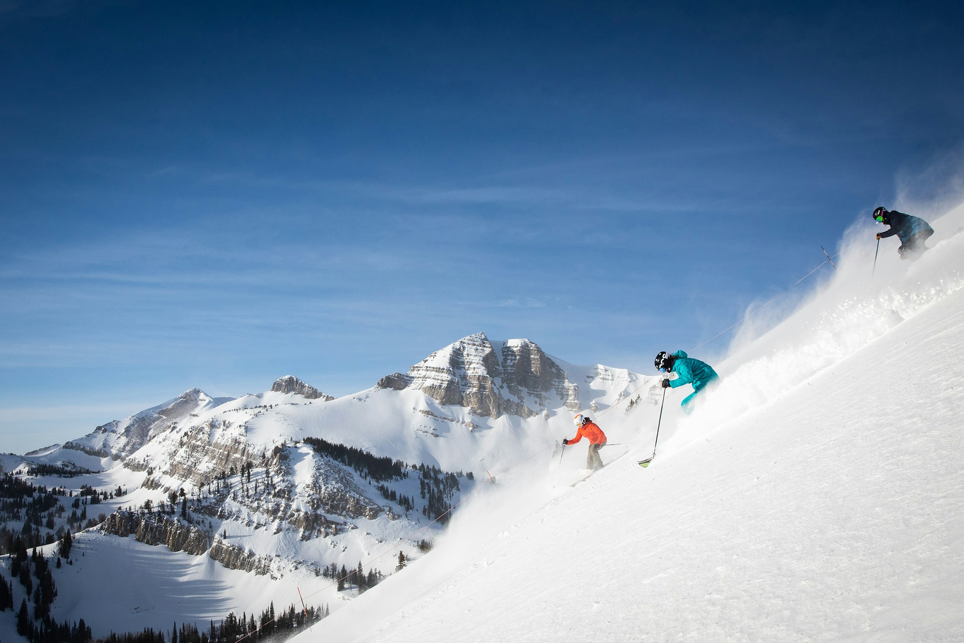 Cody Bowl Powder Skiing