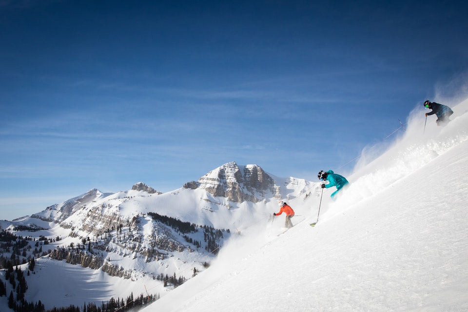 Cody Bowl Powder Skiing