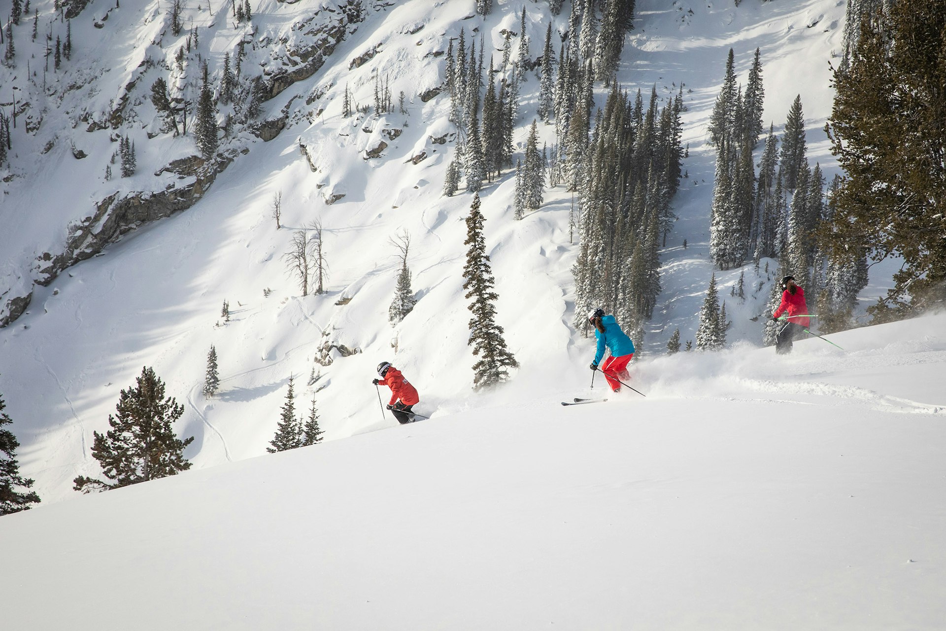 MSS Powder skiing