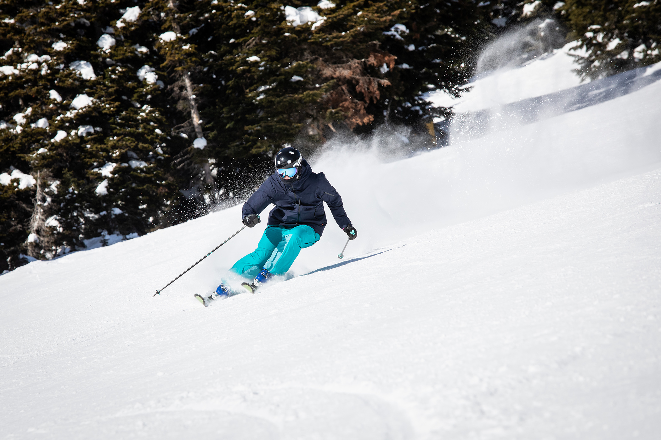 Expert private lesson