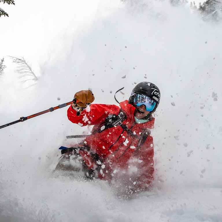 Tree powder skiing
