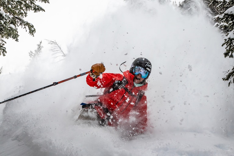 Tree powder skiing