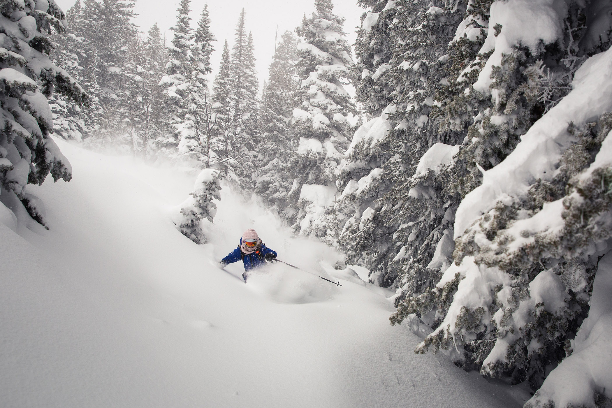 Deep tree powder skiing