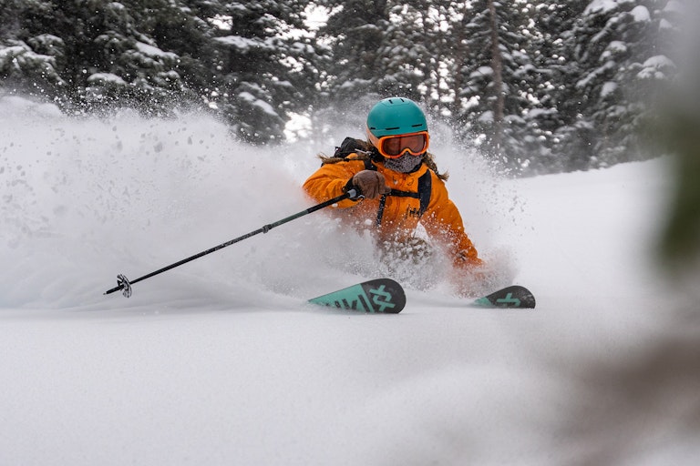 powder skiing trees