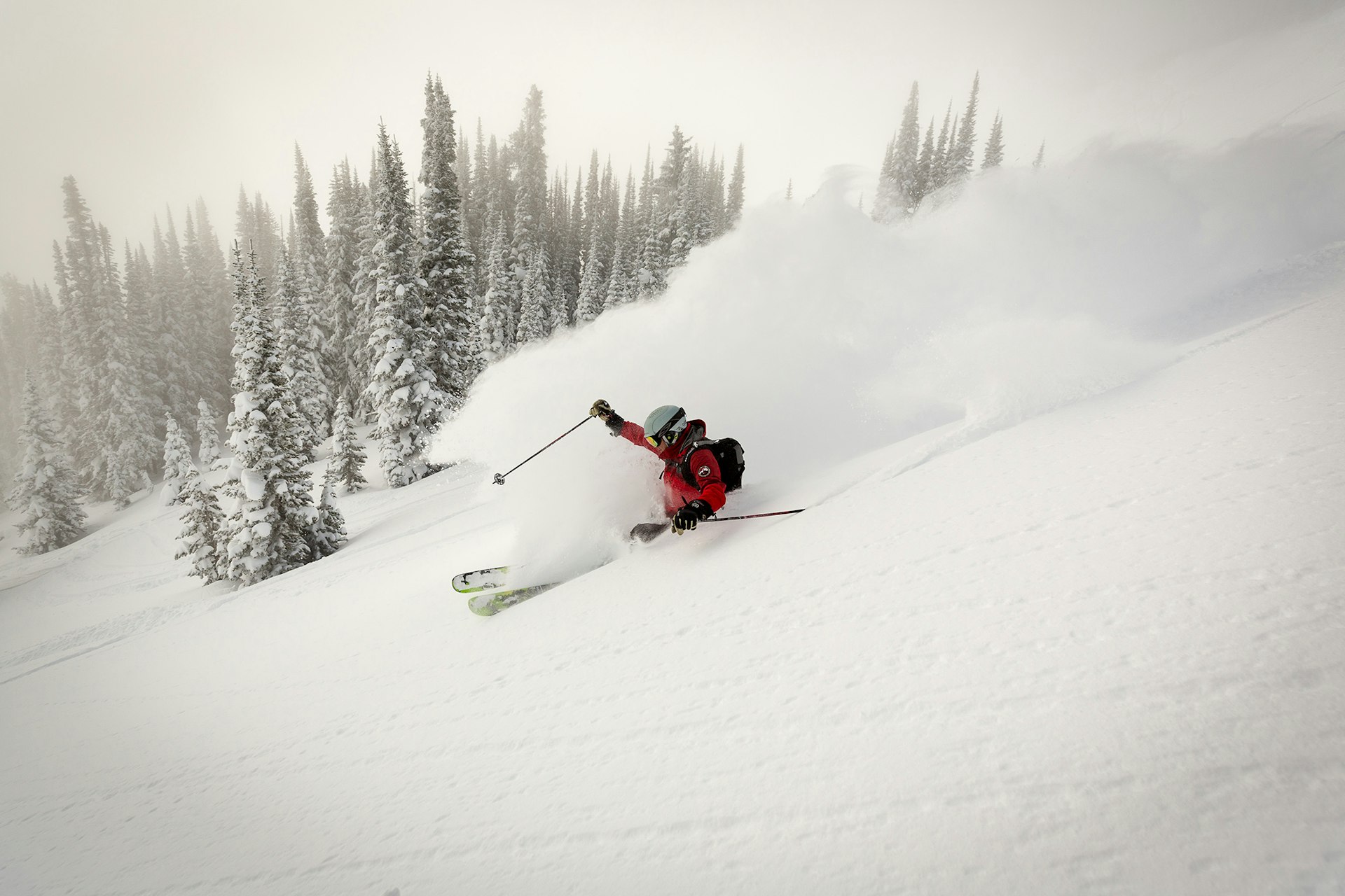 Tommy moe skiing powder