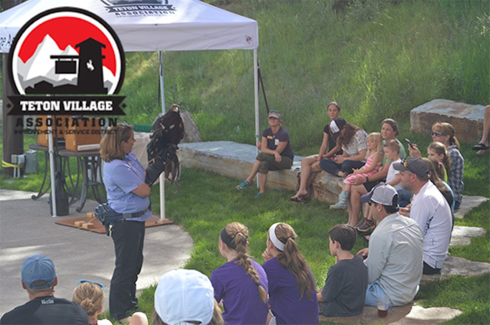 person showing families at bird at Raptor Night