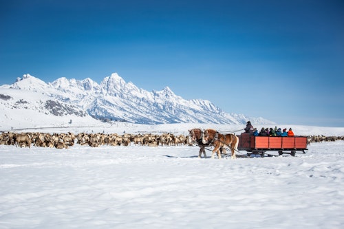 Elk Refuge