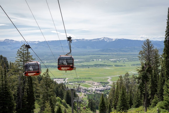 The vibrant Valley stretching out into the distance.