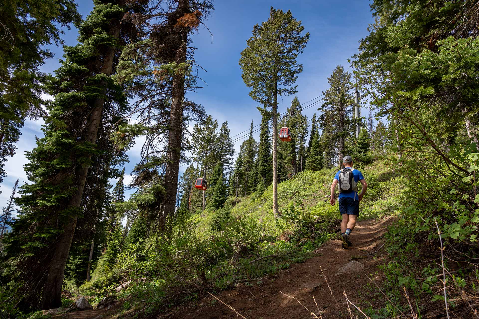 Hiking beneath the Bridger Gondola.