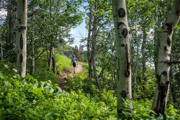 Winding through woods overtaken with shimmering emerald leaves.