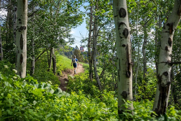 Winding through woods overtaken with shimmering emerald leaves.