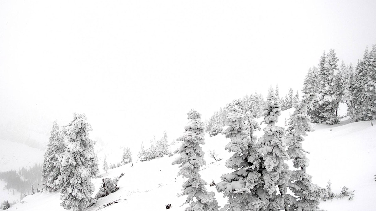 16&#8243; in Two Days- Webcam Tour
