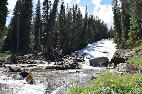 Fly fishing at Ouzal Falls