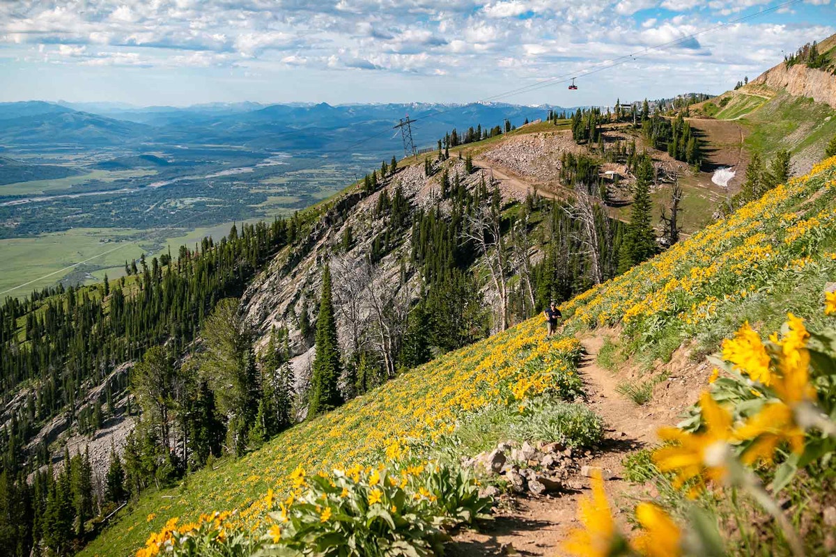 Trail Starts Here Challenge Leaderboard