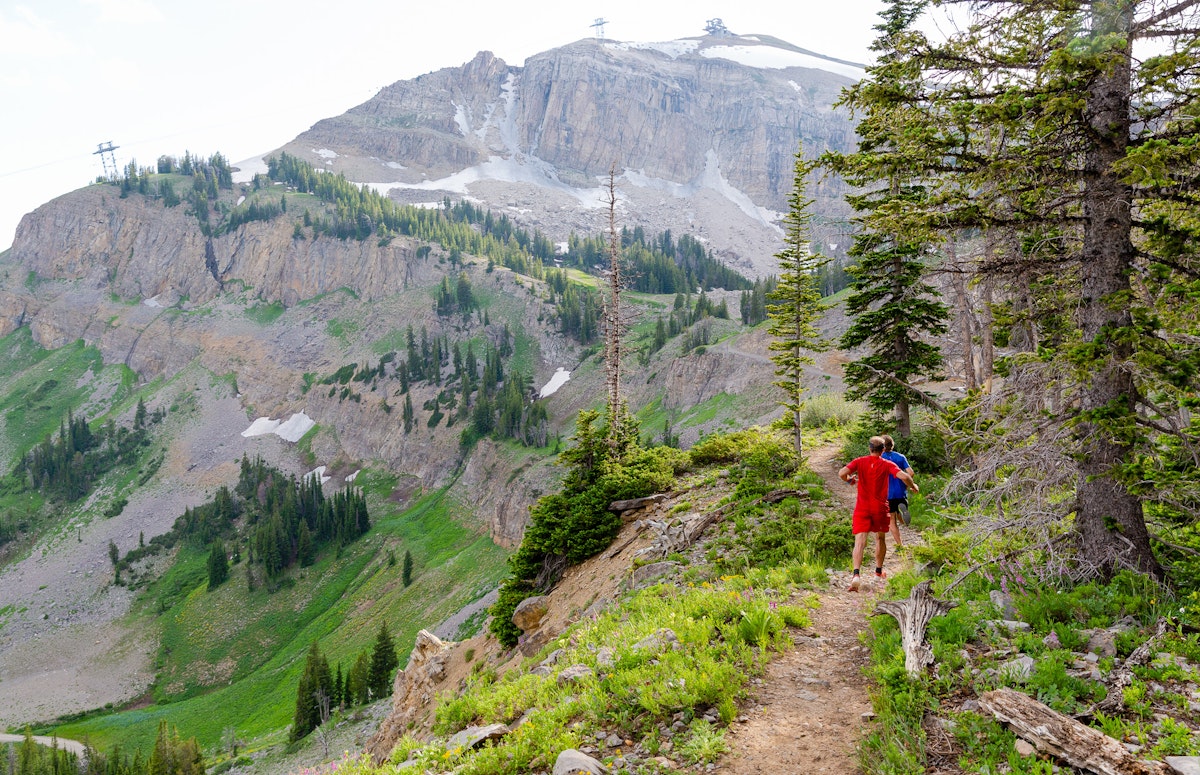 Running Wild in Jackson Hole