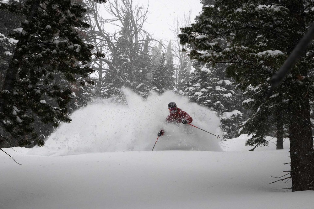 Powderhounds Rejoice! Jackson Hole Mountain Resort