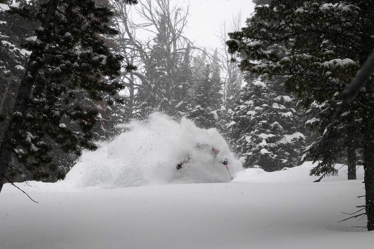 Powderhounds Rejoice!