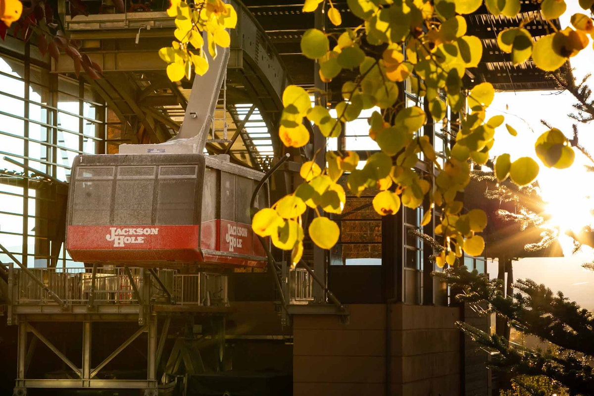 Fall Tram