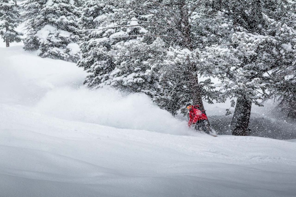 JHMR employee snowboarding powder