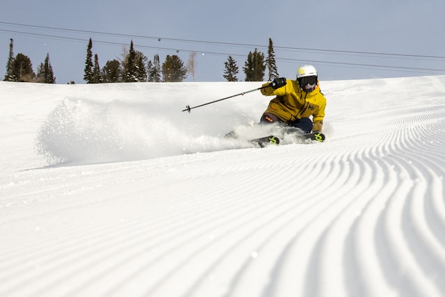 Skiing Winter