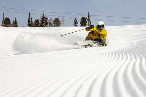 Skiing Winter