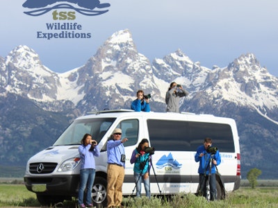 Wildlife Expeditions branded creative