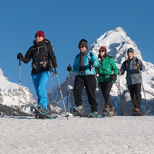 Group snowshoeing in the mountains