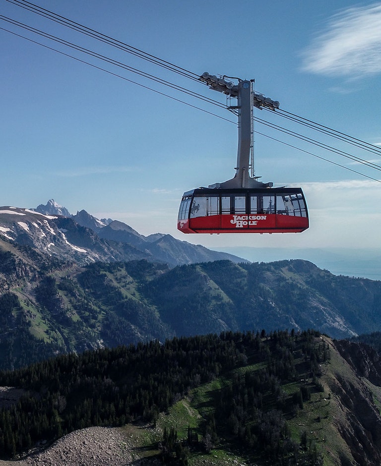 Tram going by Corbet's on a summer day