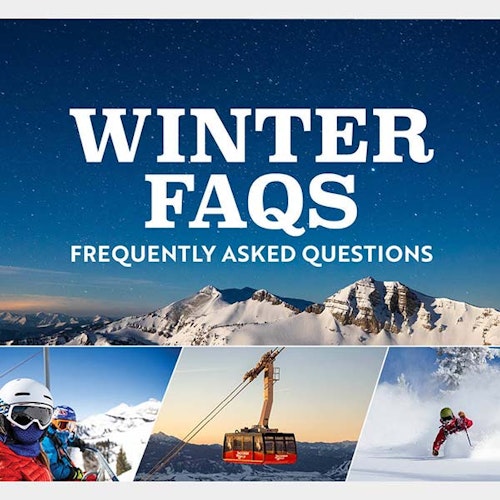 Branded creative for employee winter FAQ's