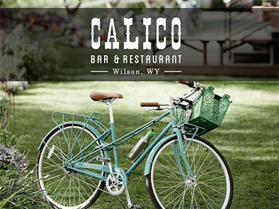 Image of a bike in the lawn of the Calico