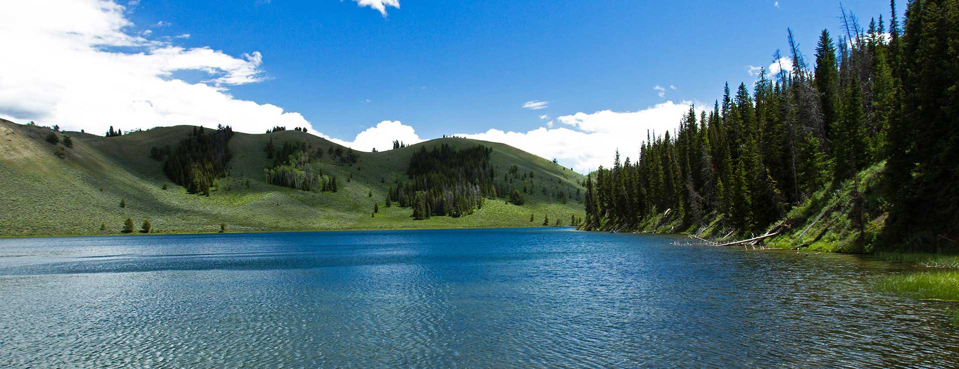 Scenic shot of Bridger Teton National Forest