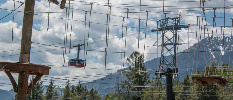 Aerial adventure course with the Tram flying by in the background