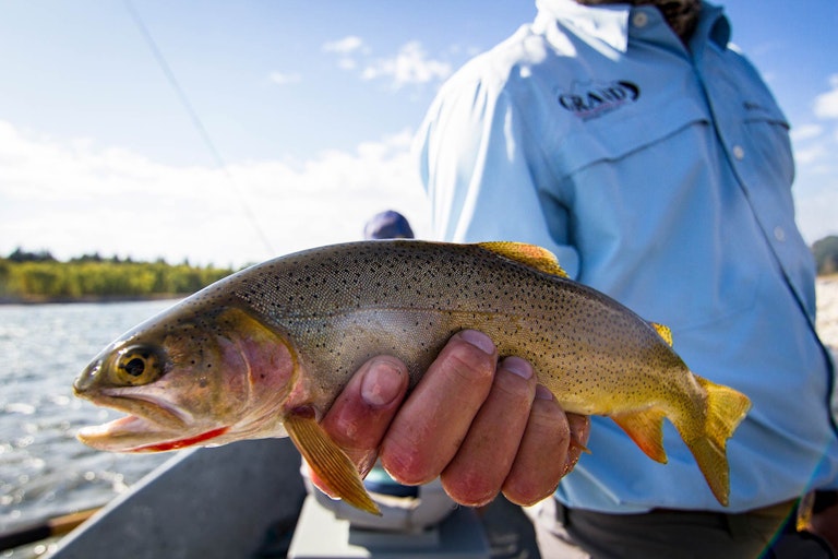 Grand Fishing Adventure guide holding a cut throat