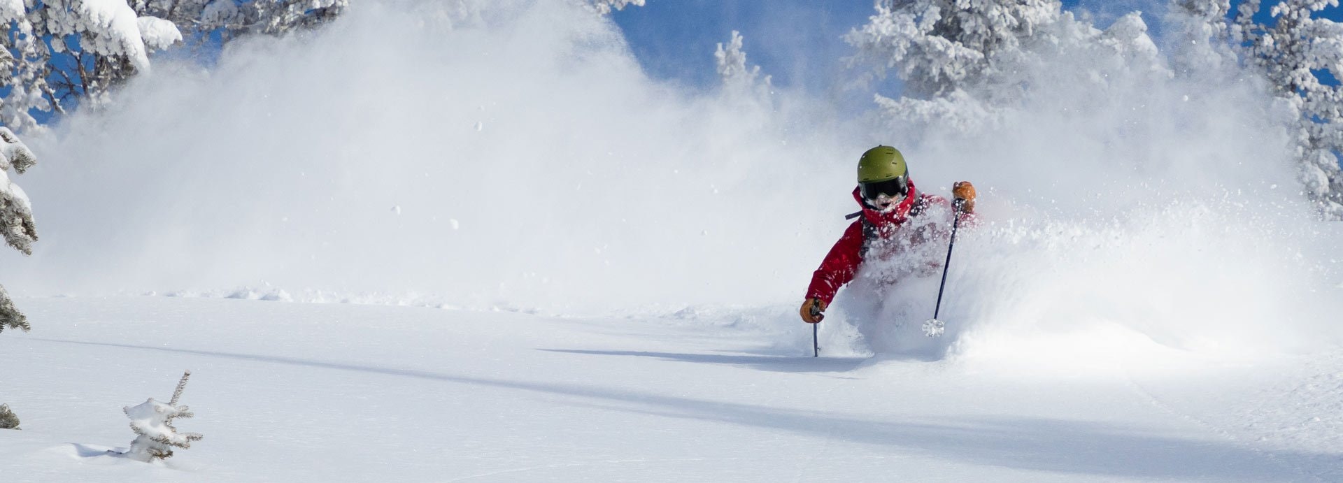 Skiing deep powder