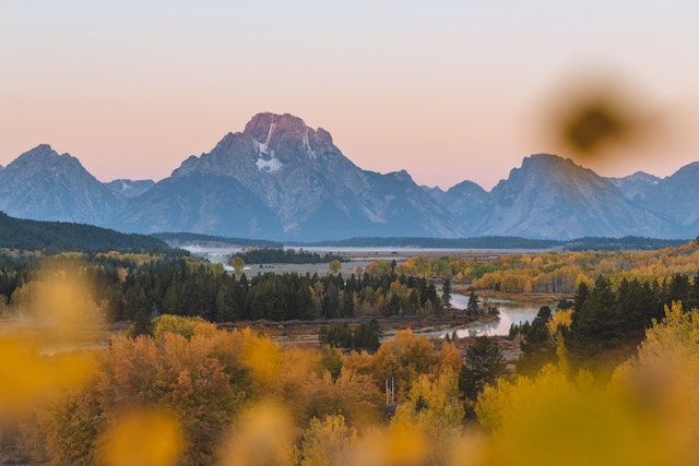 Beautiful shot of Mount Moran with fall colors on the valley floor