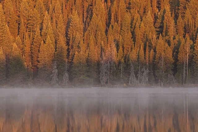 Lake with steam coming off in the morning and the sun is just beginning to hit the trees