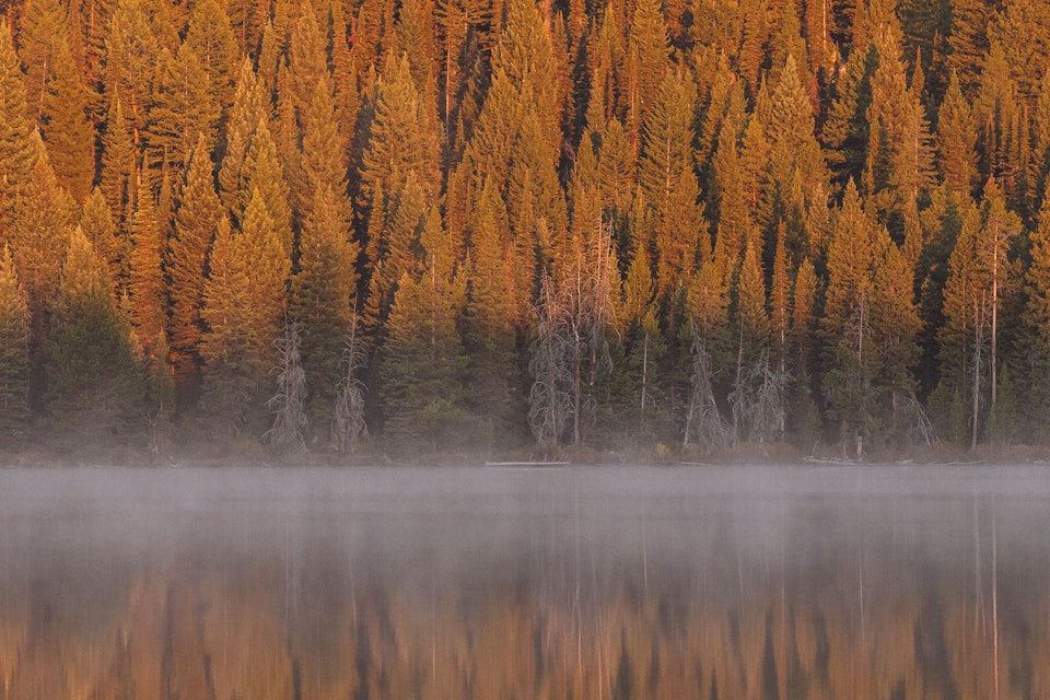 Lake with steam coming off in the morning and the sun is just beginning to hit the trees