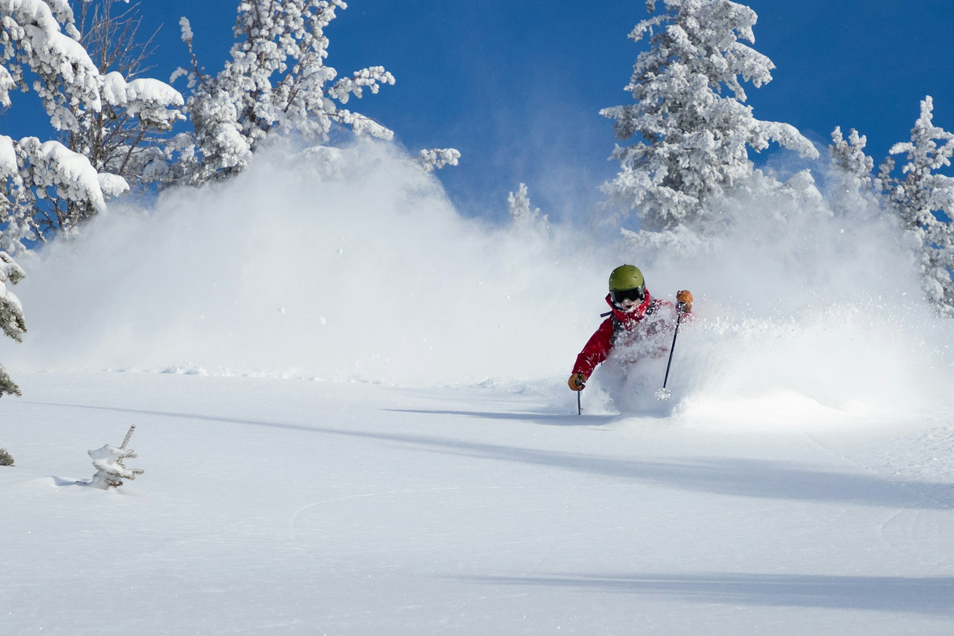 Skier skiing through DEEP pow in the trees