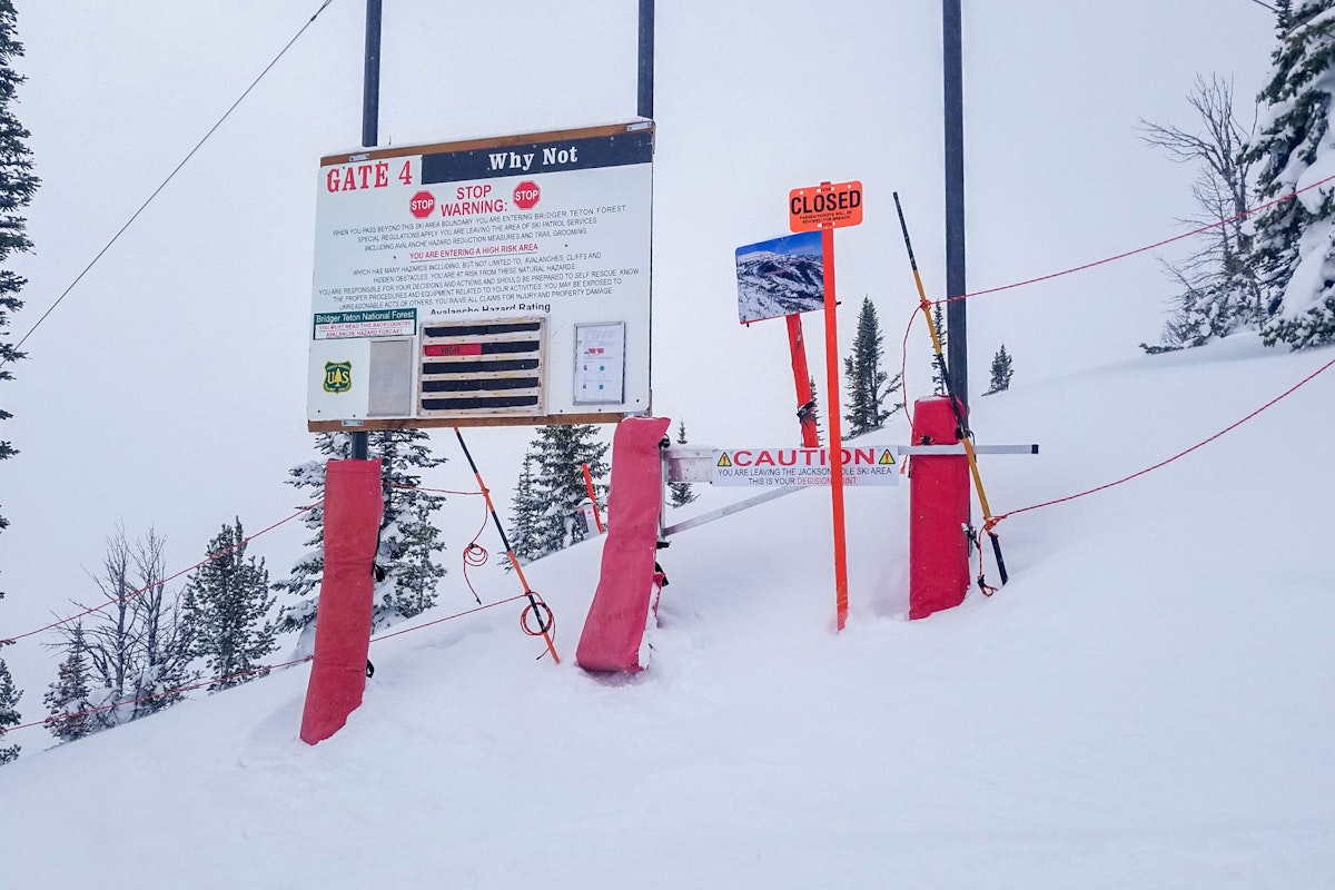 Why Not Backcountry Gate