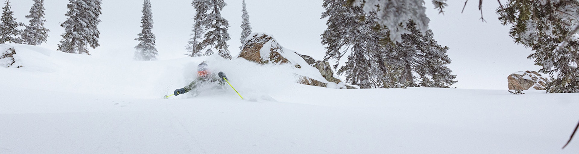 Skier Deep Pow