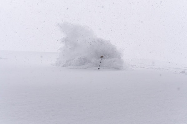 Powder.