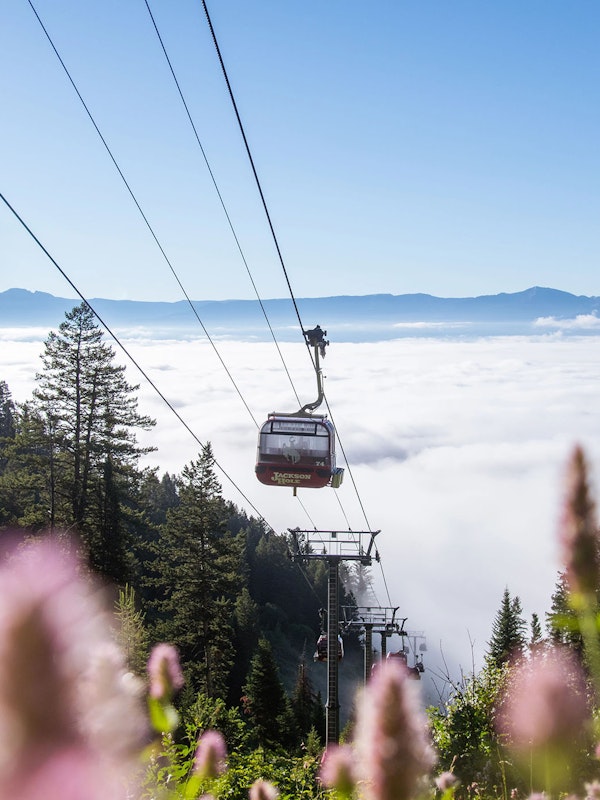 Summer gondola ride