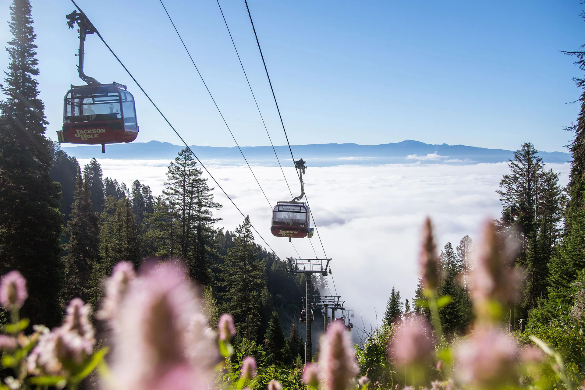 The Bridger Gondola, ride located in Jackson, Wyoming