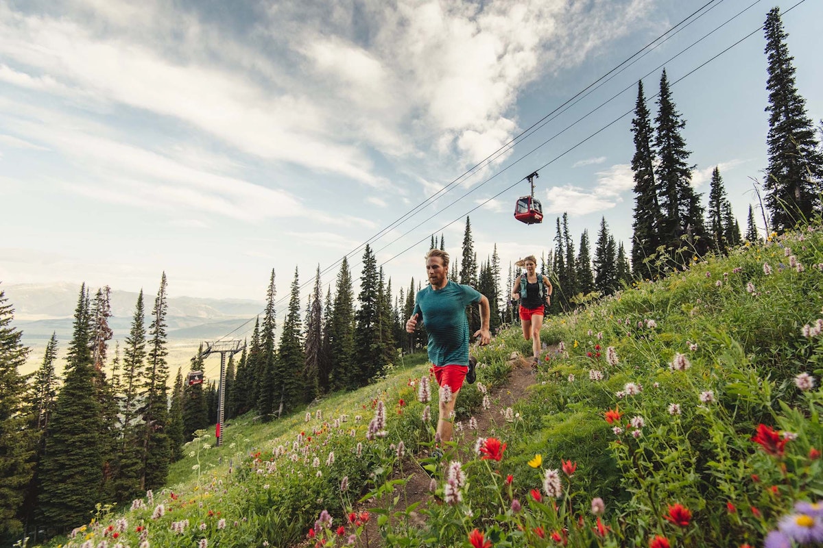 Wildflower trail running 