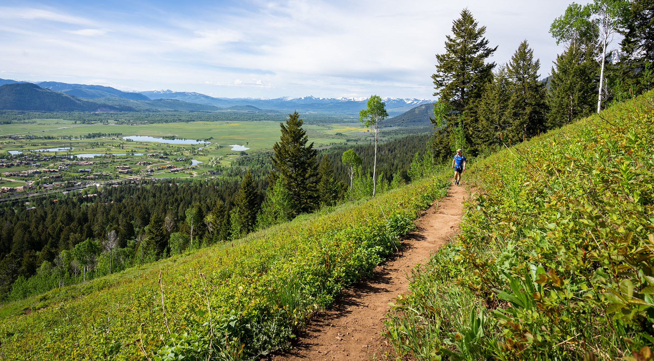 Person walking on a dirt trail